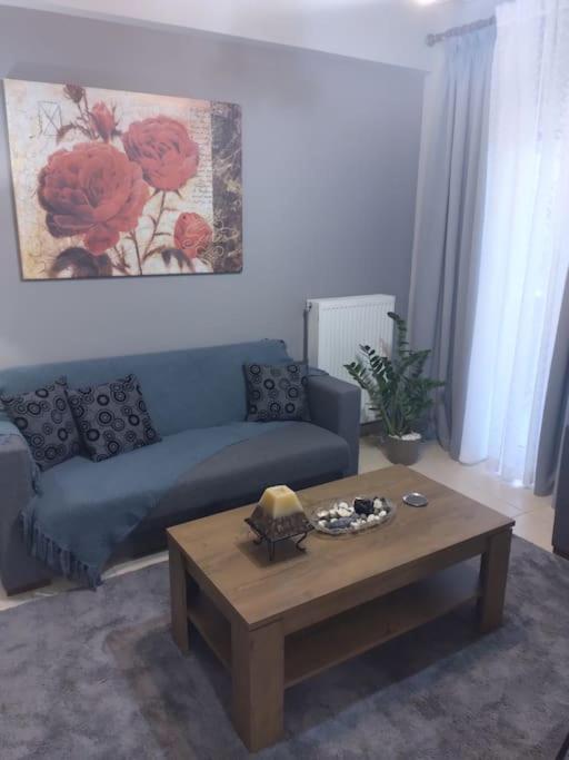 Χαίρε, Ξεΐνε, Παρ' Αμμι Φιλησεαι Apartment ตริกาลา ภายนอก รูปภาพ